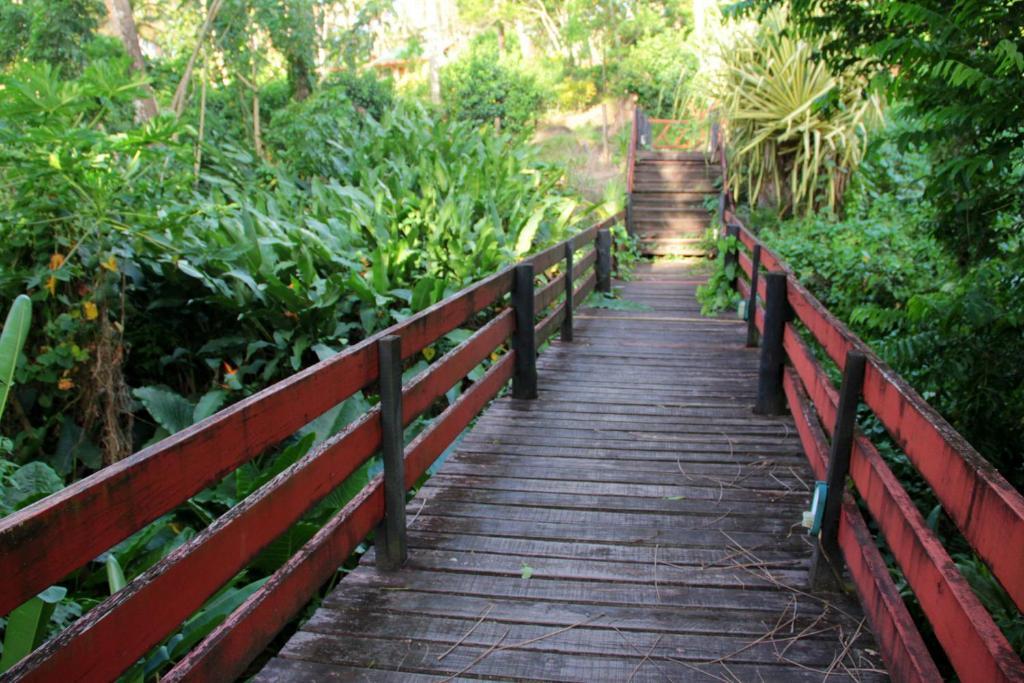 Maravu Taveuni Lodge Матеи Номер фото